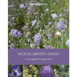 Lise Gartmann - Vilde blomster i haven - En magnet til masser af liv