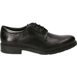 GEOX Herren Derby schwarz Glattleder