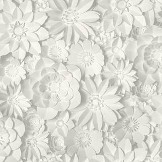 Albany Wallpaper Dimensions Floral FD42554