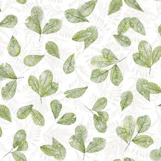 Evergreen - 7305