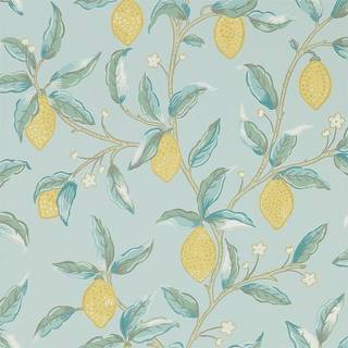 Lemon Tree Wedgewood - 216674