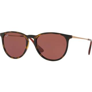 Ray - Ban Kvinde RB4171 ERIKA 639175 Solbriller Injiceret Skildpadde Violet Pantos Normal