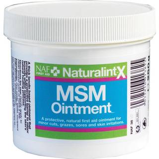 NAF Naturalintx MSM Salve - 250g