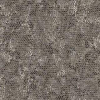 Skin - 300521
