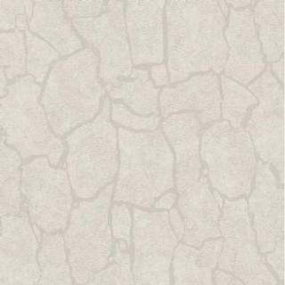 Skin - 300530