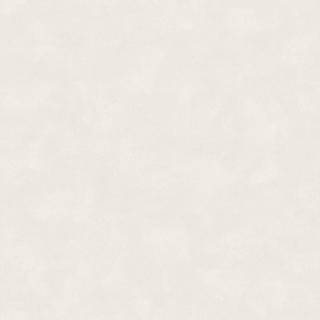 Shades Alabaster - 5050