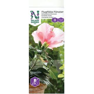 Nelson Garden 8650 Fluefælde Til Windows, pakke med 8