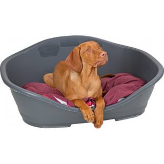 Hundeseng plast grå - 80,5 cm