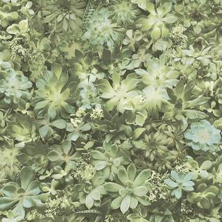 Evergreen - 7320