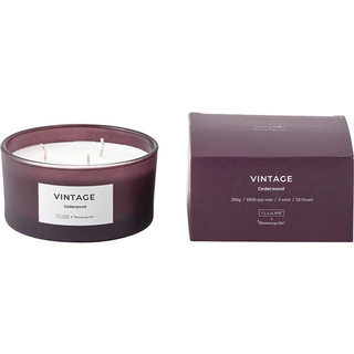 Illume x Bloomingville Vintage Cedarwood duftlys 250 g