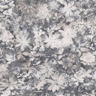 Evergreen - 7321