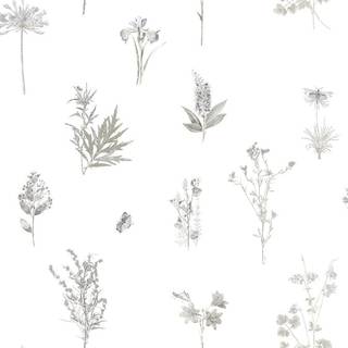 Evergreen - 7341