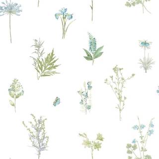 Evergreen - 7343