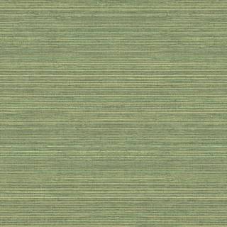Evergreen - 7365