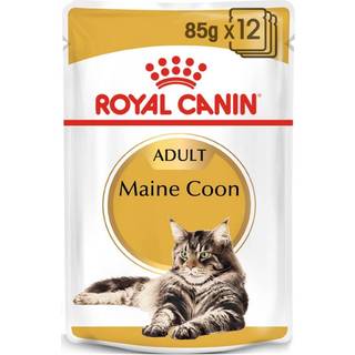 Royal Canin Maine Coon Adult Gravy vådfoder til kat 12x85 g