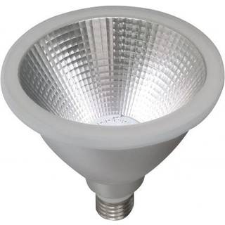 Vækstpære Grow LED 13W, Ø 12,3 cm - Sølvfarvet