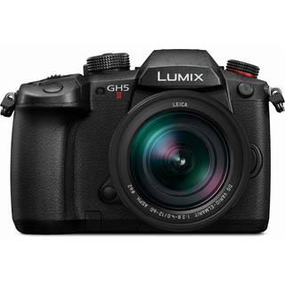 Panasonic Lumix DC-GH5 II + Leica DG Elmarit 12-60mm f/2.8-4.0 OIS