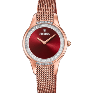 Stilfuld Dame Festina F20496/1 Ur
