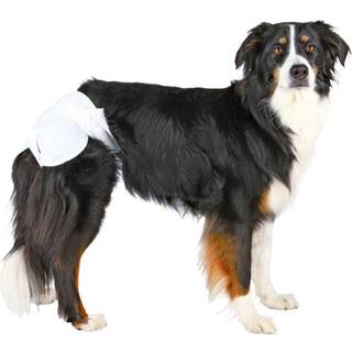 Trixie bleer til hunhunde størrelse M-L taljeomkreds 36-52cm (12-Pack)