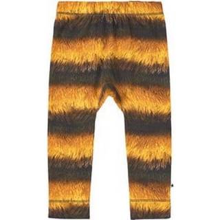 Molo - Seb Bukser - Bee - 80