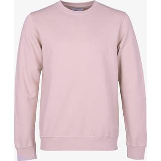 Colorful Standard Classic Organic Crew Neck Sweat Faded Pink