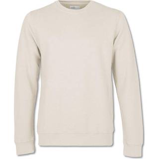 Colorful Standard Classic Organic Crew Neck Sweat Ivory White