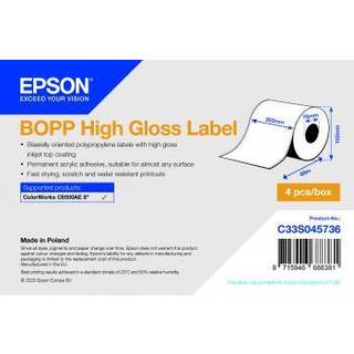 Epson BOPP - continuous labels - 4 roll(s) - Roll (20.3 cm x 68 m)