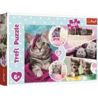 Lovely Kittens - 160 brikker