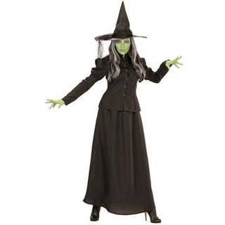 Fairytale Witch kostume