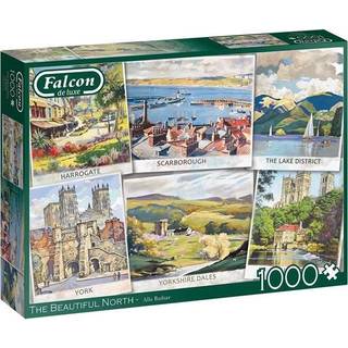 Falcon The Beautiful North(1000)