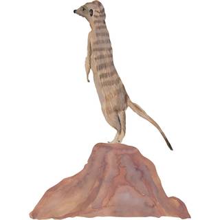 That's Mine - Wallsticker Timon Standing - Brown
