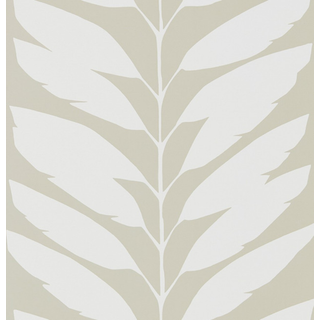 Malva - NLOH111312