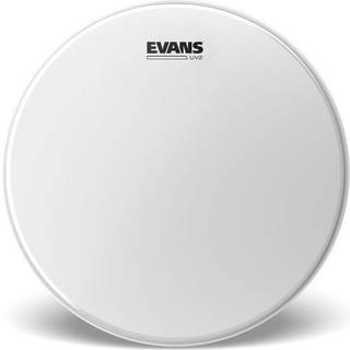Evans B10UV2