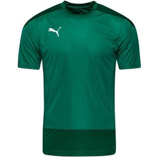 Puma teamGOAL 23 Training Jersey Jr, 116, Grøn