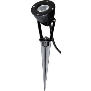LightsOn Luminus sort havespot
