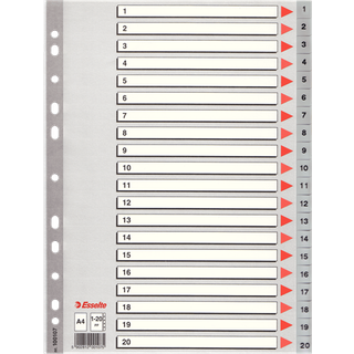 ESSELTE Register Esselte PP A4 1-20 grå 100107