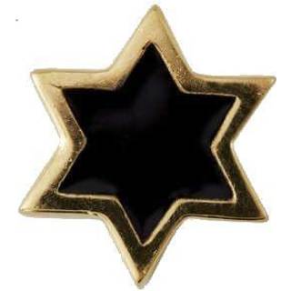 Emaljecharm stjerne