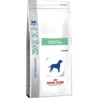 Royal Canin Dental, Medium & Large Dog - 6 kg