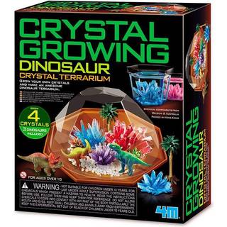 4M Crystal Growing / Dinosaur Crystal Terrarium (EU)
