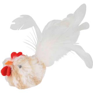 Hanekylling m. catnip