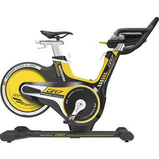 Horizon Indoor Bike GR7