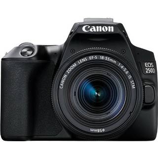 CANON EOS 250D + EF-S 18-55 mm