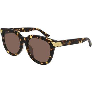 Bottega Veneta Kvinde BV1104SA 002 Solbriller Acetat Havana Brun Pantos