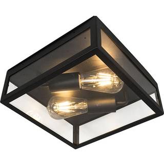 Industriel udendørs loftslampe sort 2-lys - Rotterdam