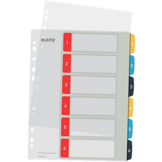 Register printbar PP A4+ 1-6 Cosy farvet, Leitz 12460000, 20stk