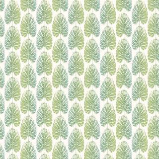 Evergreen - 7326