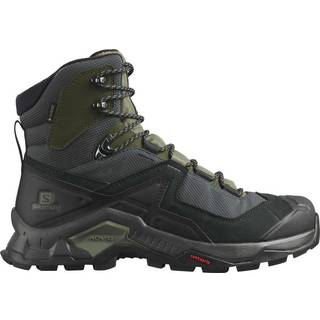 Salomon Quest Element GTX Men, black/deep liche-42 / UK 8