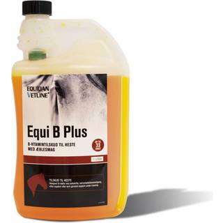 Equi B Plus Vitamin 1000 ml