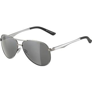 Sunglasses Alpina A 107 Titanium Matt/Black Mirror