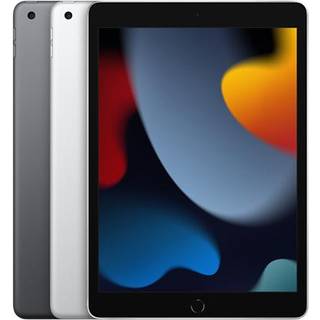 iPad 10,2" (2021) 256 GB 4G LTE (space gray)
